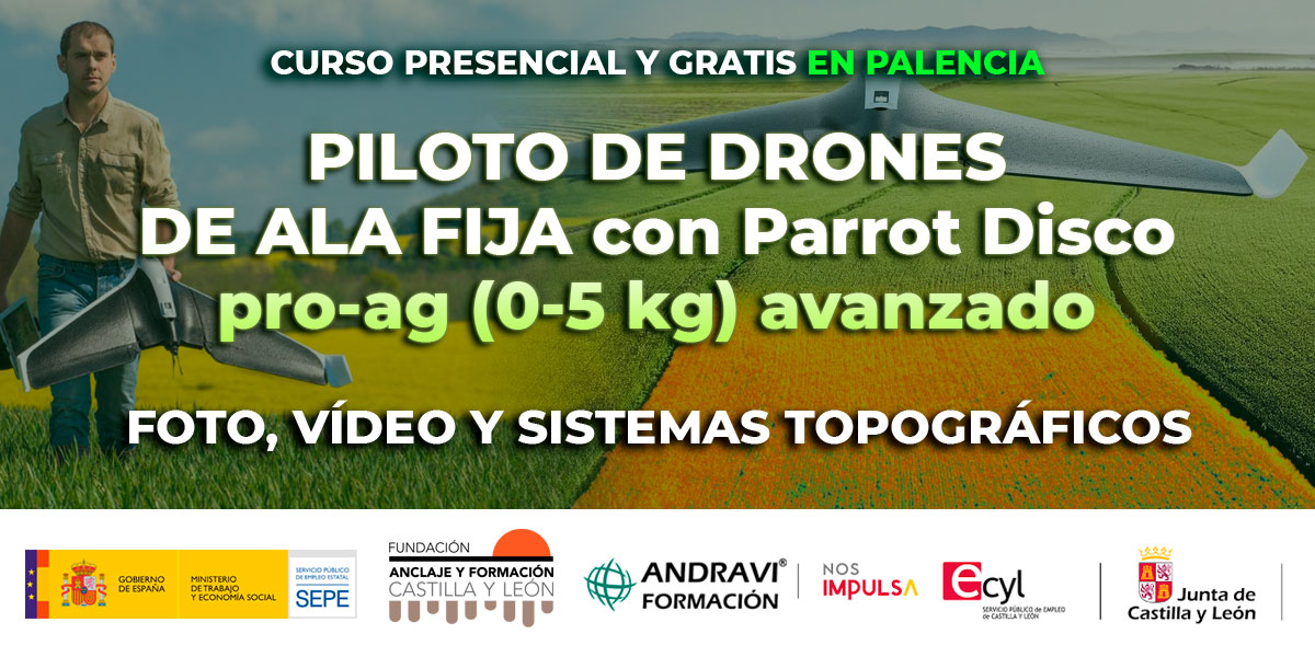 Piloto de drones de ala fija con parrot disco pro ag 0 5 kg avanzado Andravi Formacion