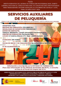 Curso gratis en Zamora para desempleados: SERVICIOS AUXILIARES DE PELUQUERÍA