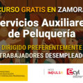 Curso gratis en Zamora para desempleados: SERVICIOS AUXILIARES DE PELUQUERÍA